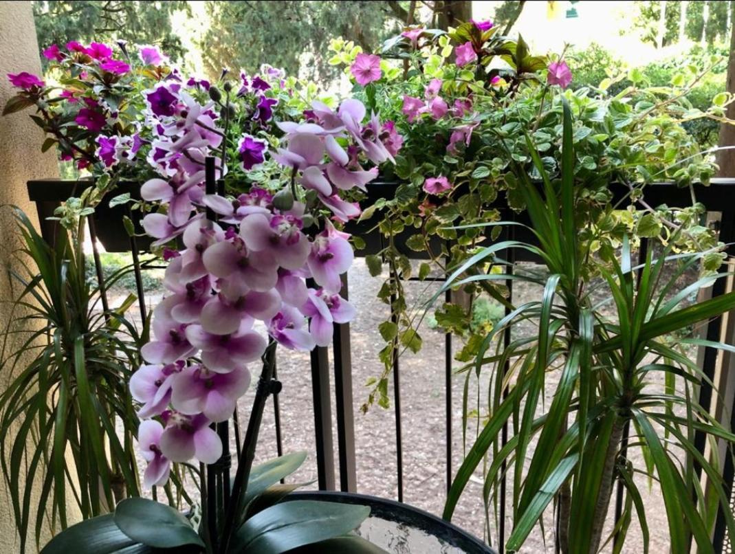 גרדונה ריביירה Residence Villa Alba Room Nr 221 מראה חיצוני תמונה